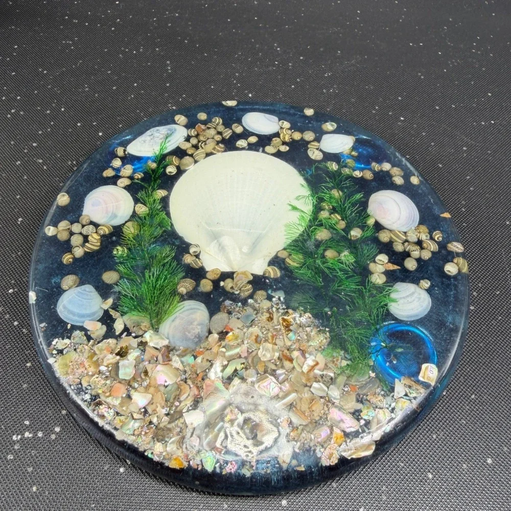 Vintage Lucite Seashell Trivet 6 Inch Round Clear Resin Coastal Decor Blue White